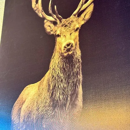 El Cervol De Montana Park *